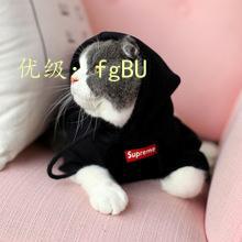 ̬